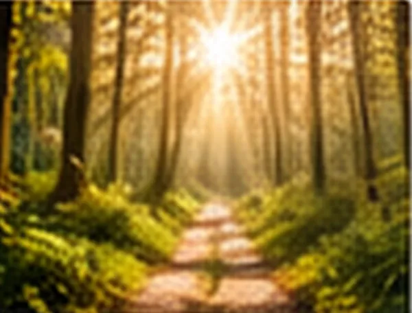Waldweg zwischen hohen Bäumen, Sonne im Hintergrund
